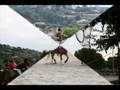 Horse ball eac