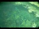 Snorkeling Los Tubos Puerto Rico