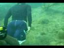 Snorkeling Los Tubos Puerto Rico