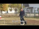 Gentle Team: condotta al piede e alt