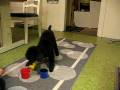 videos de Wilma plockar med burkar.avi