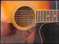 Lilach - Cranberries - Animal Instinct - guitar