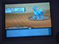 pokemon diamond dialga