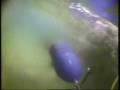 CoRMaT tidal turbine.wmv
