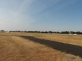 Zodiac/Falco flyby