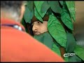 CQC: Proteste J�! Rafinha Bastos e o Desmatamento (2/2)
