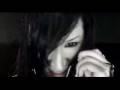 Asagi-Corvinus