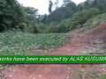 ILLEGAL LOGGING - INDONESIA FOREST IN CRISIS !!