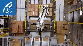 Robotic Palletizing Systems for Processing and Man