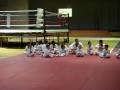 videos de EXAMEN DE TAE KWON DO DE LA SELECCION DEL C.E. SAKURA