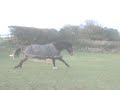 Cyril and China being silly :P