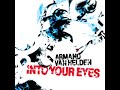 Armand Van Helden - Into Your Eyes (The Droyds Mix) Armand Van Helden - Into Your Eyes (The Droyds Mix)