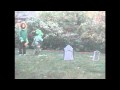 Plants vs Zombies LIVE