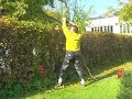 Lutz in seiner Knickerbocker schneidet Hecke Lutz in seiner Knickerbocker schneidet Hecke