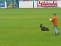 WUSV 2007 Ronny van den Berghe B