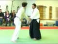 Ryokukai Aikibudo Nidan Test Highlights