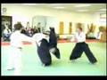 Ryokukai Aikibudo Nidan Test Highlights