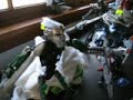 my latest MOCs(i\ my latest MOCs(i\
