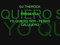 perro callejero-yo quiero ser  + letra