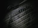 Raccoon #2 - Part 1 - Dec. 1 Just after midnight Raccoon #2 - Part 1 - Dec. 1 Just after midnight