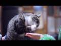 Nikon D90 Tsuneo Family [720p HD]