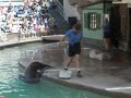 Renato Zoo San Diego 7 - Olha a dancinha !