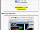 Profits.CC Copywriting Pro Tutorial - Writing Your Sales Letter (Bottom Area) Resell Rights