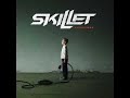 Skillet The Older I get