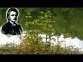 Morgenstimmung Peer Gynt Suite Nr. 1 Edvard Grieg