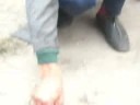 put za mekele_0001.wmv