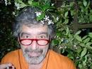 Giuseppe Dolce