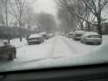 videos de nevada en chicago