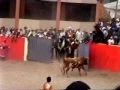 COGIDA ESPECTACULAR POR UN TORO .... BULL ATTACKS PEOPLE