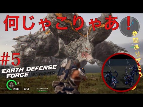 動画
