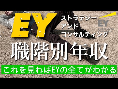 【コンサル】EYストラテジーアンドコンサルティング 職階別年収・福利厚生【Big4】