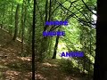 ANDRE