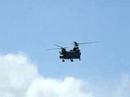 Chinooks rule!!!!!!!! Chinooks rule!!!!!!!!