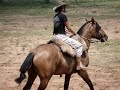 Tradicionalismo gaucho