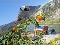 DALYAN TURKEY