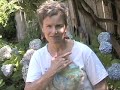 EFT Tapping Sequence.m4v