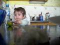videos de julieta comiendo un limon