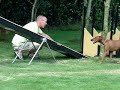 Duitse pinscher