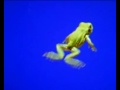 froggy