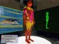 Muscles used in Swimming Free Style