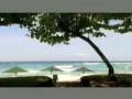 Pan Flute Paradise at Pan-Flute.Com