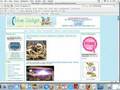 How Do I Get Indexed In Google Quickly?