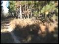 videos de Clark County, Wisconsin Hunting Land on Creek