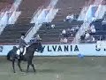 I can't remember the names for my life except that the rider's name was Lindsay(sp?). If you know, tell me so I can put them up :P  -Day 1 Course- Left lead canter down the side and over the pole without jumping the pole. Circle around the cone to set up for the jump. ...Jump. Halt in front of the barrels. Back around the barrels without touching them. Canter a large circle from the back of the barrels, inbetween the pole and the jump, to the sidepass poles, all while holding a sword with a ball in the cup on top. Not supposed to drop the ball. Halt at the sidepass poles. Sidepass the poles. Catch the hanging ring with the lance (ring jousting). Canter to the finish line and halt.  -Finals Course- Canter a small circle to the left then extend the canter and make the circle bigger. Change lead in the middle (they had a choice of simple or flying change).Extended canter large circle on the other side, then collect and canter a small circle. Balanced halt at the starting point. Turn on the haunches 2x around. Leg yield through the cones; cones were a triangle formation. Sidepass over the barrel. Run around the other barrel xD  Then all the finalists had to make up a routine set to music that they were to ride with their celebrity riding partner/clinician.When they first walked into the ring during the first day I was like 'I WANT THEM TO WIN!' solely because I'm a sucker for big black ponies, especially with TB in em :P Then, they dominated and I went 'hey, they might win!' xD The horse was freaking out at the barrels when they first started, and he did little baby rears, then she pet him and he went *perfectly* Horse whisperer much?All pictures and videos were taken by me.