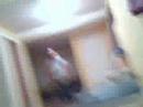massil m. jeune de longueuil(rive-sud de montreal) dansant sur soulja boy crank that