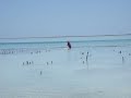 2008_Tanzania-_pestovani_morskych_ras_II